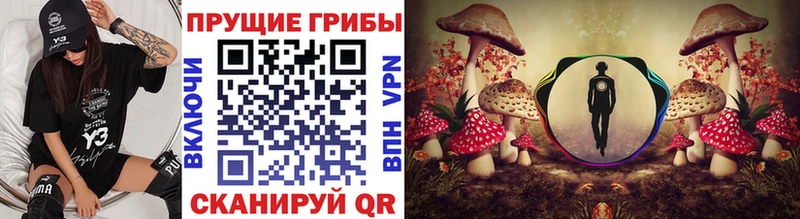 omg онион  Видное  Псилоцибиновые грибы MAGIC MUSHROOMS 